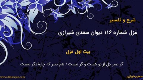 شرح و تفسیر غزل شماره 116 دیوان سعدی شیرازی
